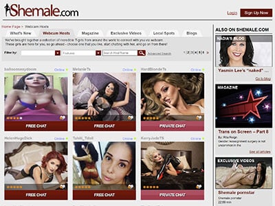 home page of the reviewed site